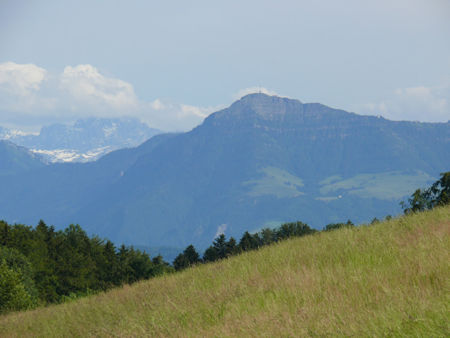 16jpg-800x600