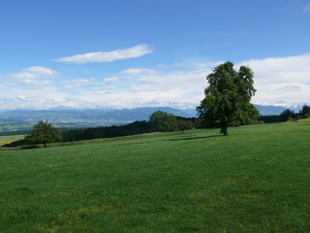 9jpg-800x600