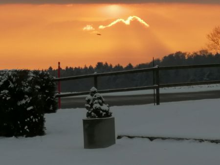 IMG-20210107-WA0003